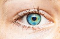 Göz Renginde Genetiğin Rolü Nedir ?
