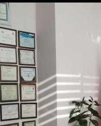 Prof. Dr. Haydar BAĞIŞ