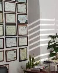 Prof. Dr. Haydar BAĞIŞ